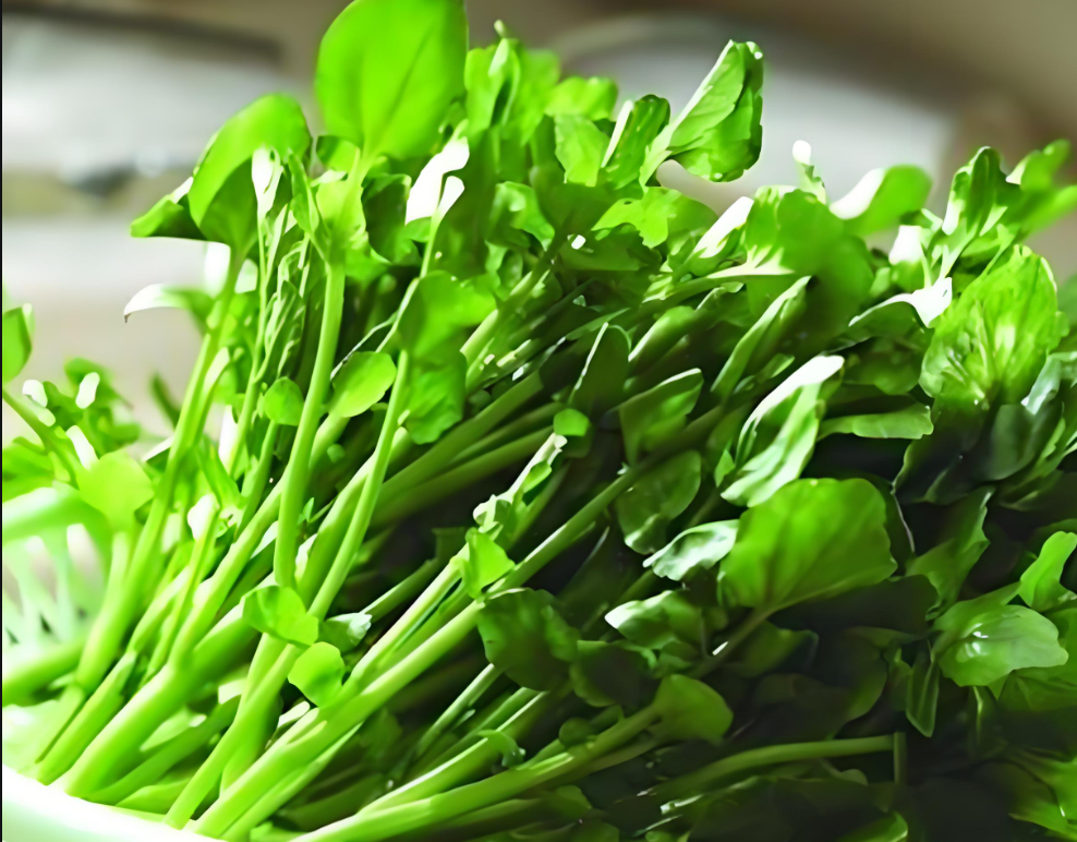 膝盖咔咔响？营养师首推这道菜，补氨糖比保健品更有效