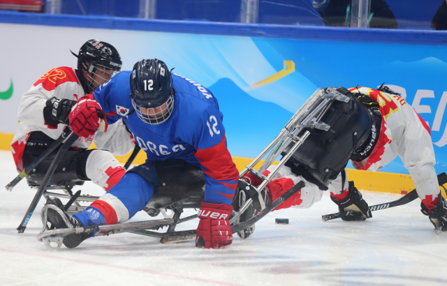 冬残奥赛场传来捷报：俄罗斯残奥选手时隔八年再夺奖牌