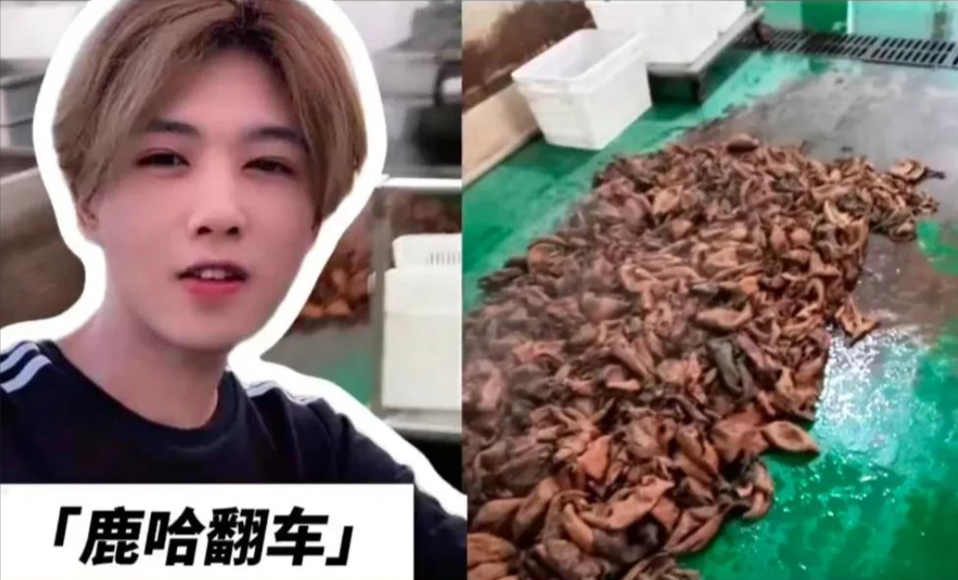 网红鹿哈带货牛肚陷卫生风波,或需赔偿消费者数十亿