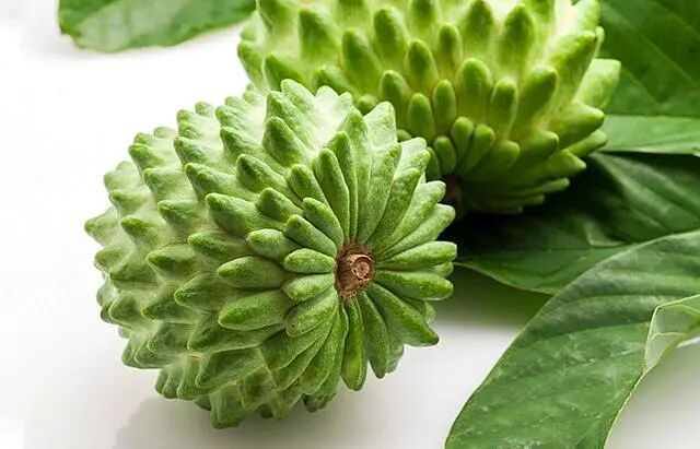 拼多多升级“2026多多好特产”,千亿扶持加码农产,商家销量涨近20%