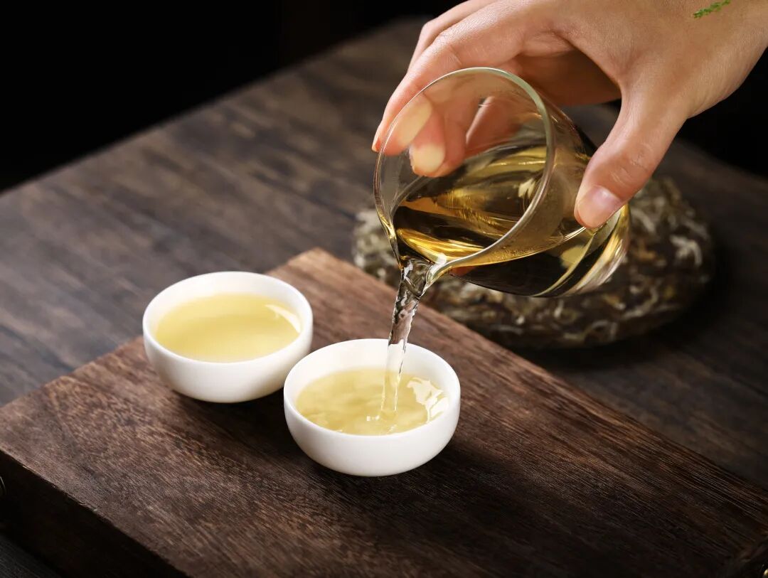 春风回暖,喝一杯老白茶,治愈整个春天