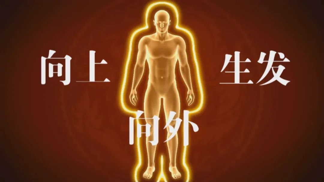 春季养阳:避开3个耗阳习惯,吃对3种扶阳菜