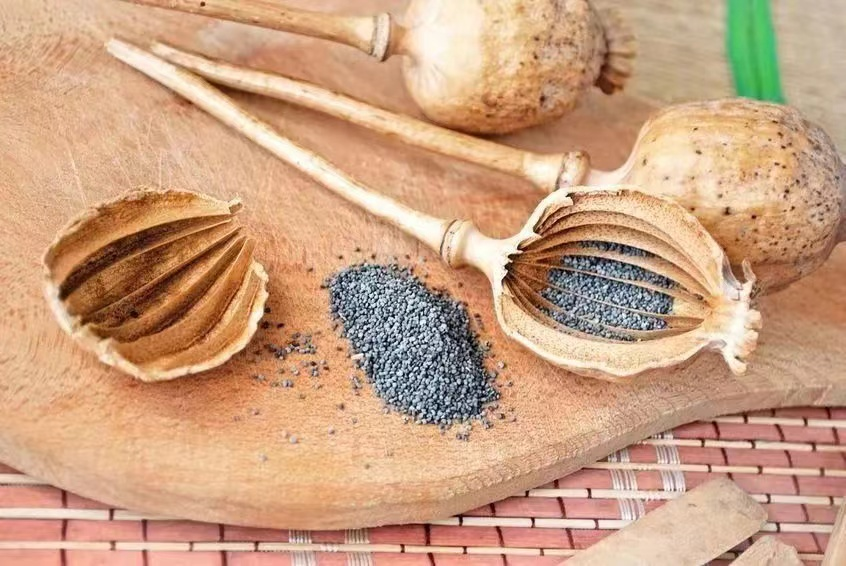 居民主动上交460余克罂粟壳,民警当场表扬