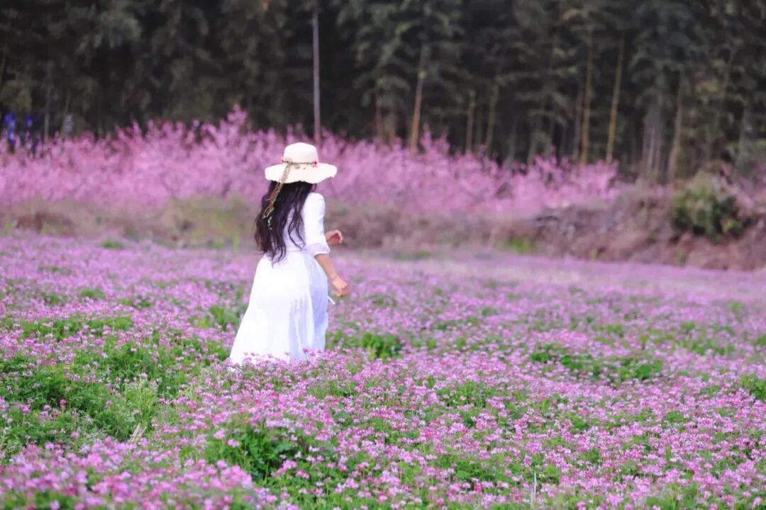 多地推行“学生春秋假，家长同步休”，昆山企业率先落实带薪春假