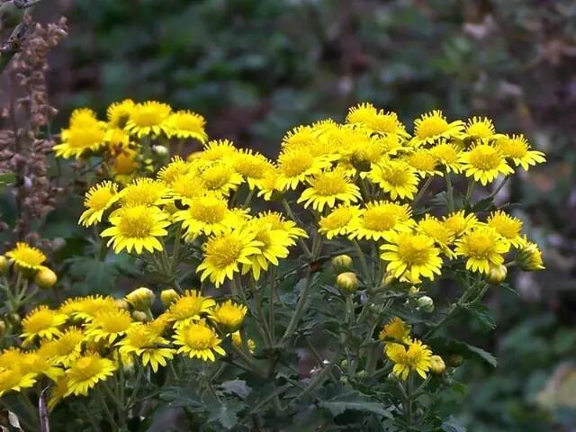 殡葬收费新规落地:告别“天价”与“糊涂账”,让身后事更透明