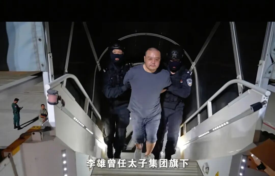 跨境追逃再传捷报:太子集团“金主”李雄被押解回国