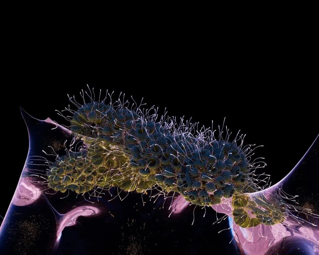 蘑菇革命:菌丝体如何重塑我们的世界