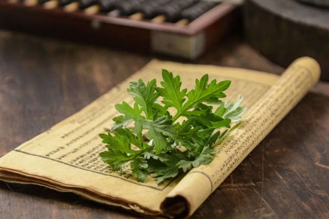 清明雨纷纷,湿气最缠人!赶紧用好这株“纯阳草”,把身体里的寒湿烘干!