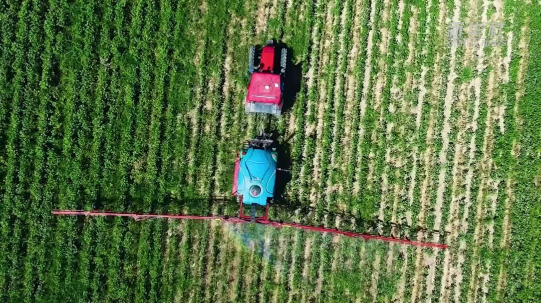 乌克兰面粉拿到“入场券”，中乌农业合作再升级