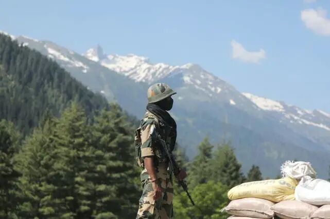 印度边境新招，用蛇和鳄鱼当“生物哨兵”？