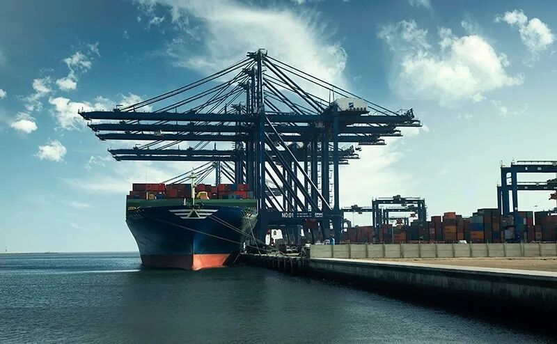 巴基斯坦打通中亚贸易“新捷径”，首车冷冻肉已出发