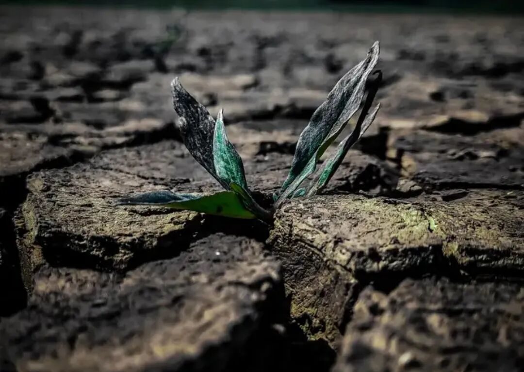 当人类成为“按钮”：AI时代的战争伦理困境