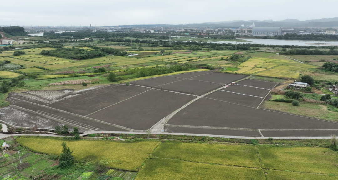 28.5亿投出“空壳”工程？江西鄱阳高标准农田调查