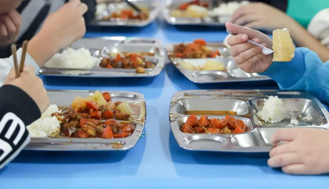 上海绿捷！为了垄断学生午餐，搞“围标”把执照都搭进去了