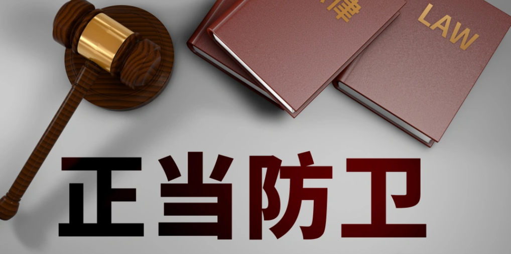 历时3年9次延期!唐山“农妇袭警案”迎来一审判决,家属:警察先动手为何不算正当防卫?